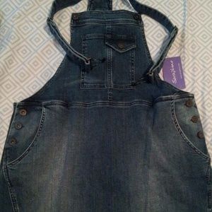 Seraphine Denim Maternity Dress