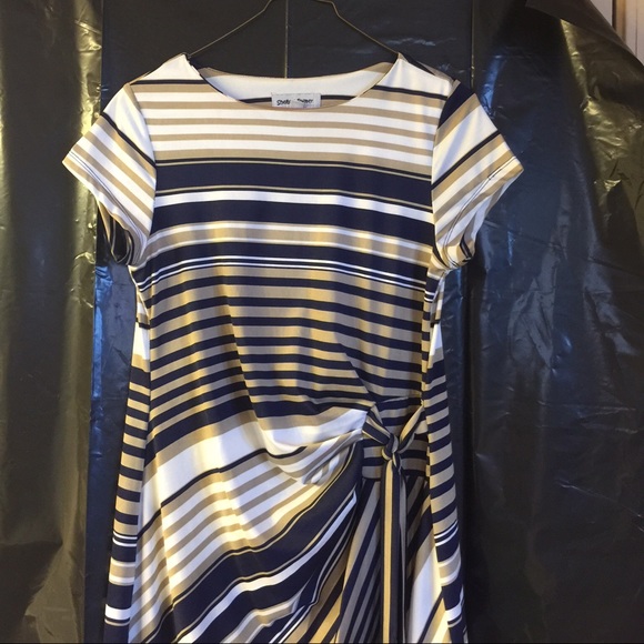 Shelby and Palmer dress , size medium