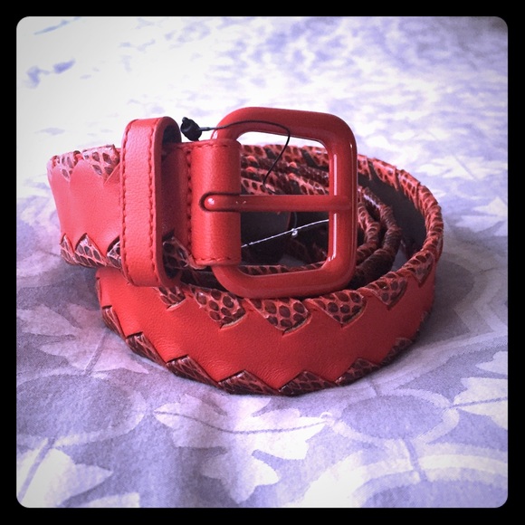 ?HP? Bottega Veneta Red Snakeskin/Leather Belt