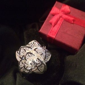 Solid silver ring