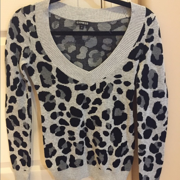 💥Express Sweater💥