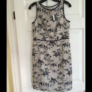 Ann Taylor dress