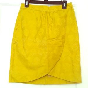 Anthropologie edme & esyllte skirt