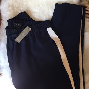 JCrew Navy Stripe Pants