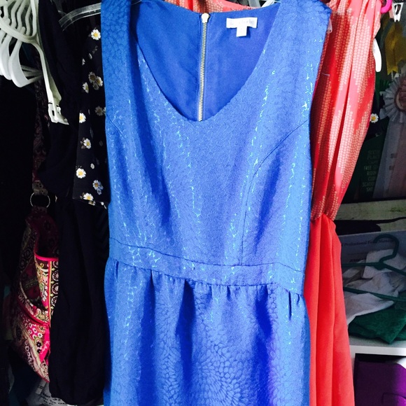 Cute blue dress from charming Charlie's size large