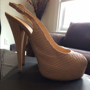 Giuseppe Zannoti printed python