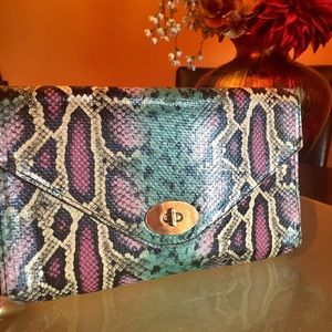 Colorful snake skin clutch