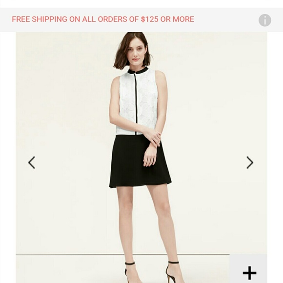 Loft Dress