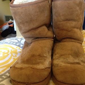 Ugg chestnut classics
