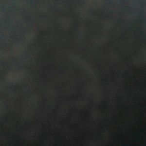 Looking for a 5c or 5s