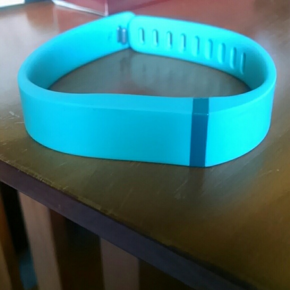 Fitbit Flex