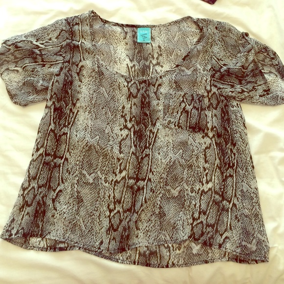 Shear top - Picture 1 of 1