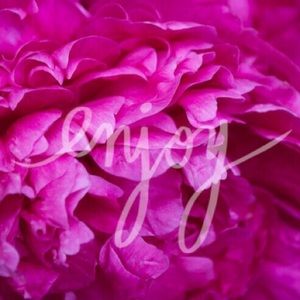 ❤️bundle for gallowaytasha