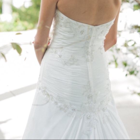 David's Bridal Wedding Dress on Ivory - Picture 3 of 4