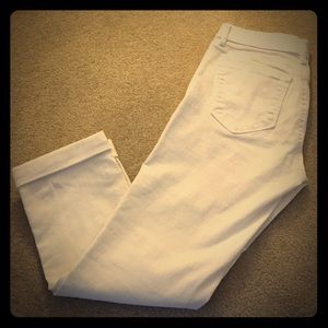 LOFT pants