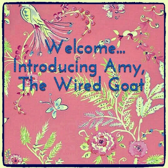 Meet Your Seller Amy & The Wired Goat... - Picture 2 of 4