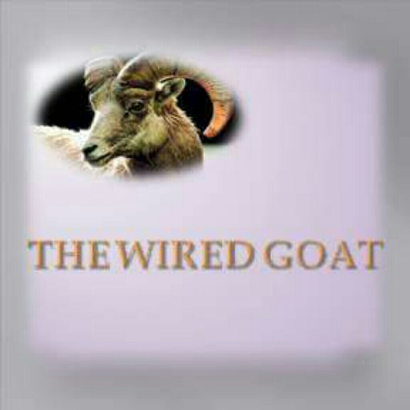 Meet Your Seller Amy & The Wired Goat... - Picture 3 of 4