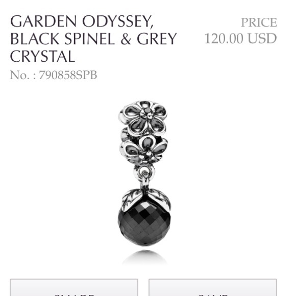 Pandora charm