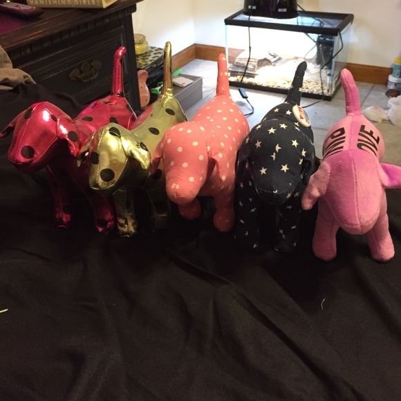 VS Dogs - Picture 2 of 4