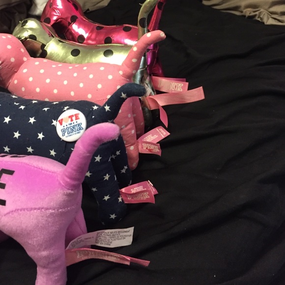 VS Dogs - Picture 3 of 4