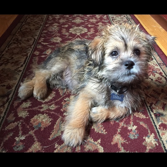 MEET YOUR SELLER 🌞🌙 - Picture 5 of 8