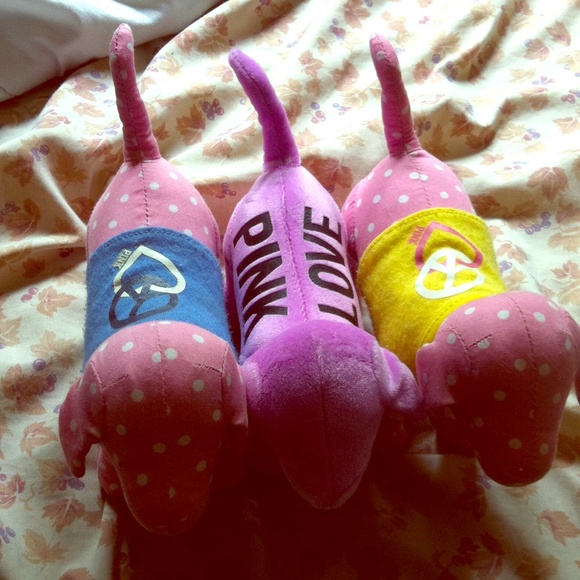 VS pink dog bundle