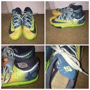 GS KD ligers