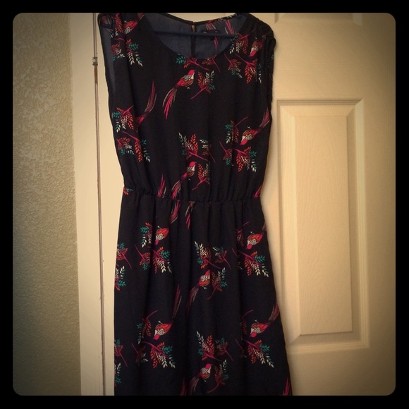 Navy Gap Bird Dress