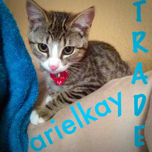 TRADE for Arielkay!🎉