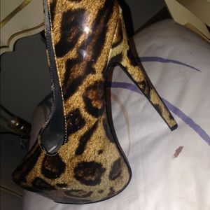 Cheetah pump