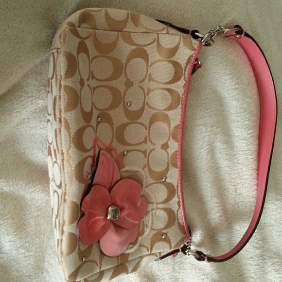 Small coach purse