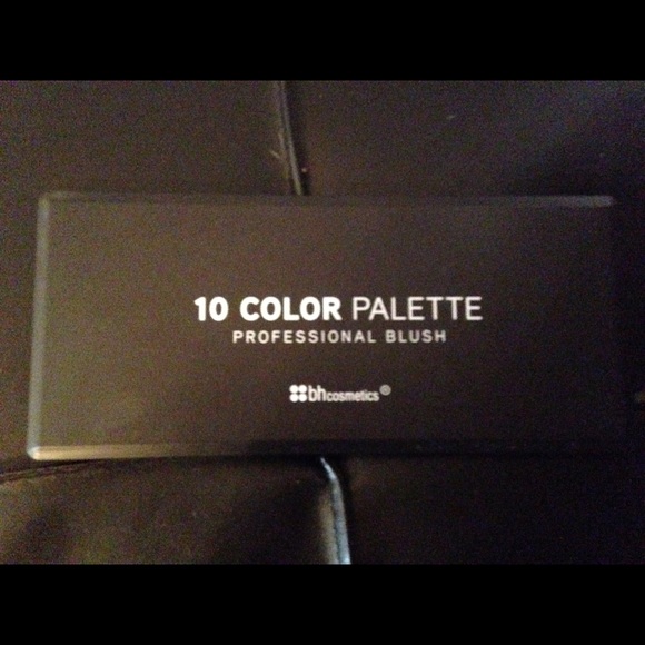 NEW Professional Blush