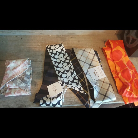 Coach pony scarves