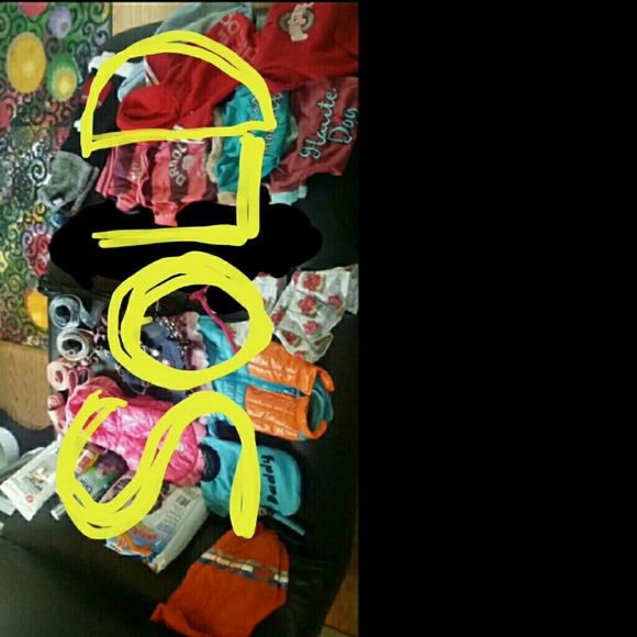 Dog Clothes, Leashes & Supplies