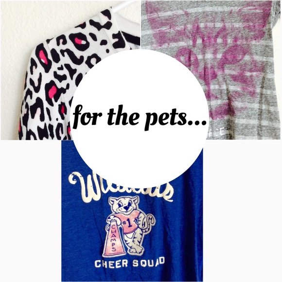 help me save rescue pets! - Picture 2 of 3