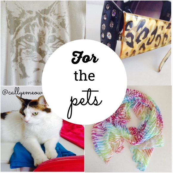 help me save rescue pets! - Picture 3 of 3