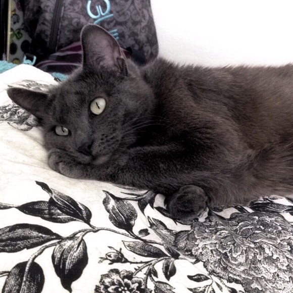 • MEET ME • - Picture 2 of 4