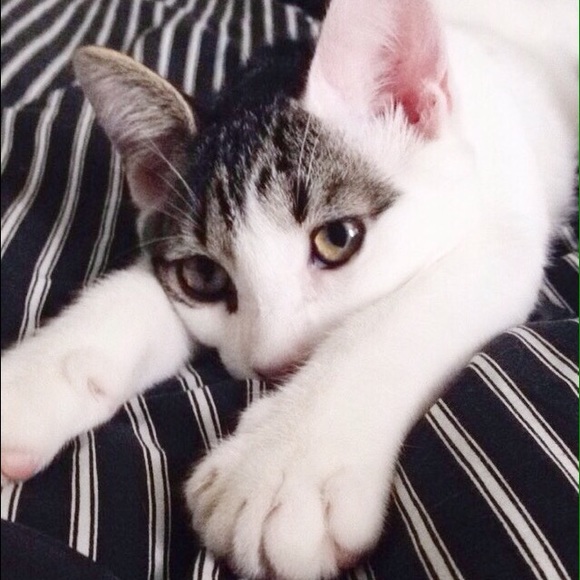 • MEET ME • - Picture 3 of 4