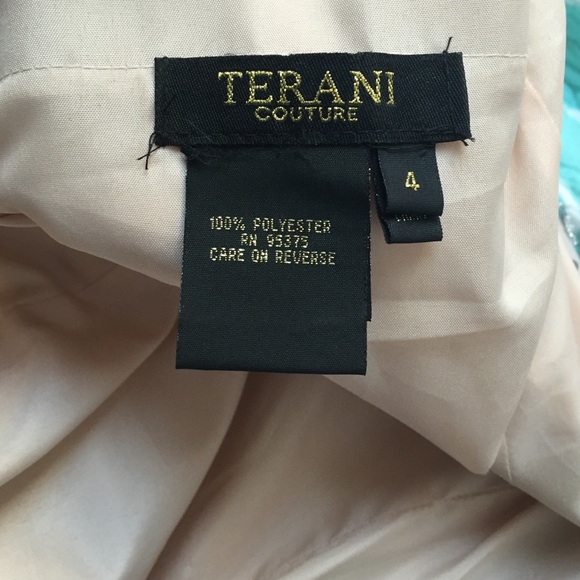 Beautiful Terani Couture Elegant Gown - Picture 2 of 4