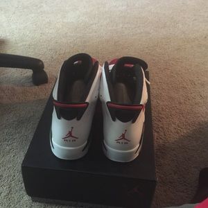 Air Jordan Carmine's 6