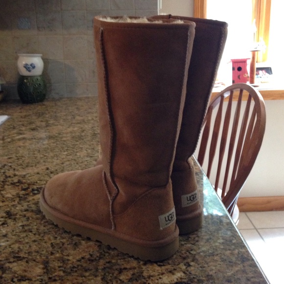 Tall Chestnut UGGs
