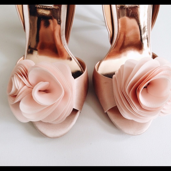 Badgley Mischka Shoes - No longer available NWT Blossom Silk Ruffle Pump
