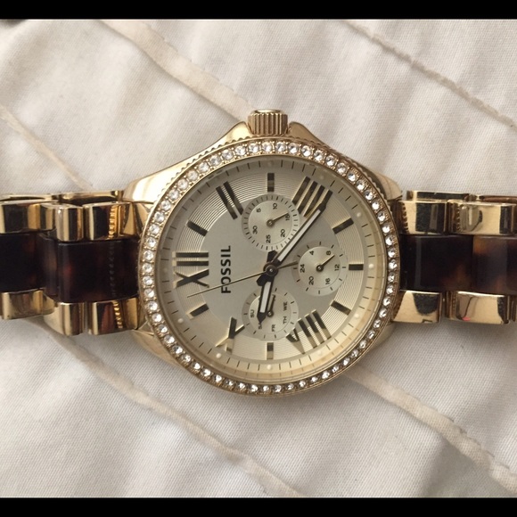 Fossil Tortoise Watch!
