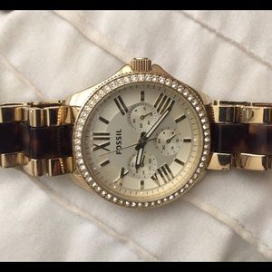 Fossil Tortoise Watch!