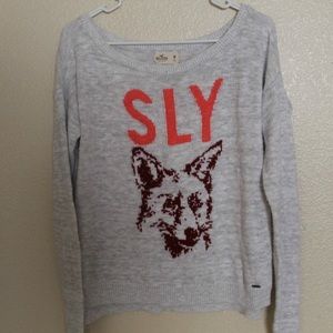 Hollister Sly Sweater