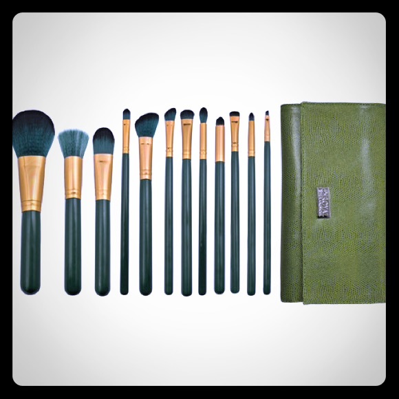 Royal and Langnickel 12 standard brush set