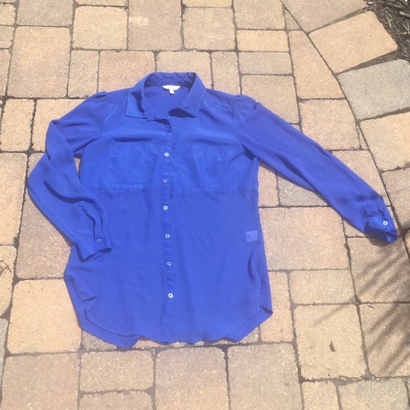 Blue Blouse