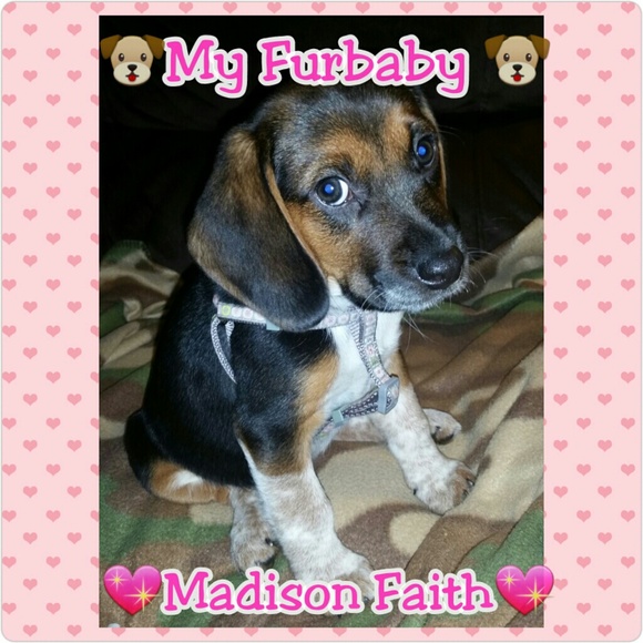 💖🐶My baby girl.. Madison Faith🐶💖