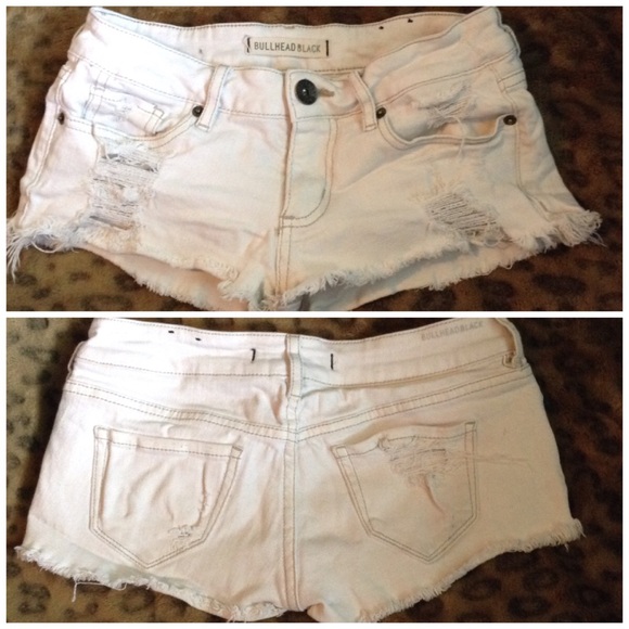 White bullhead shorts