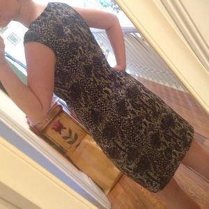 Ann Taylor Dress ✨